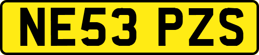 NE53PZS