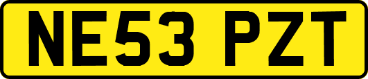 NE53PZT