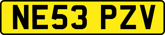 NE53PZV
