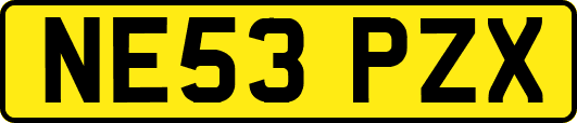NE53PZX
