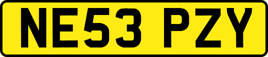 NE53PZY