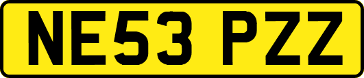 NE53PZZ