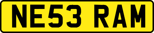 NE53RAM