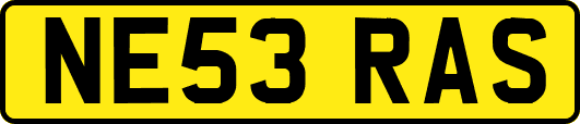 NE53RAS