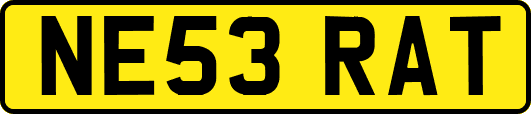 NE53RAT