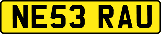 NE53RAU