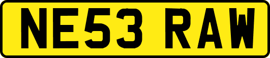 NE53RAW