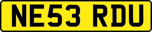 NE53RDU