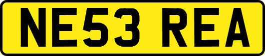 NE53REA