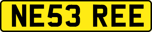 NE53REE