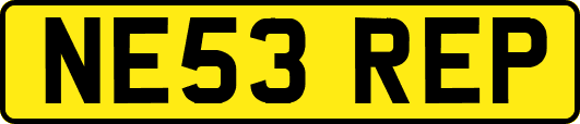 NE53REP