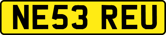 NE53REU