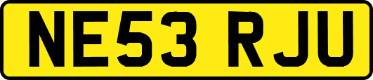 NE53RJU