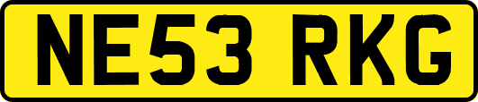 NE53RKG