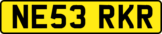 NE53RKR