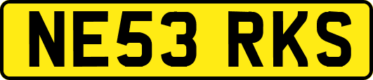 NE53RKS
