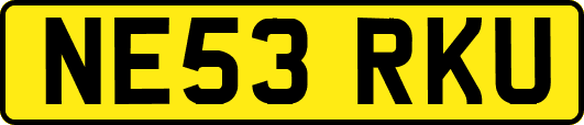 NE53RKU