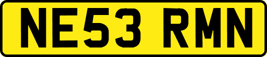 NE53RMN