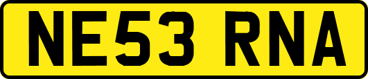 NE53RNA