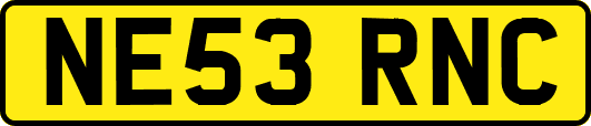 NE53RNC