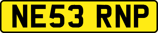 NE53RNP