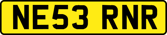 NE53RNR