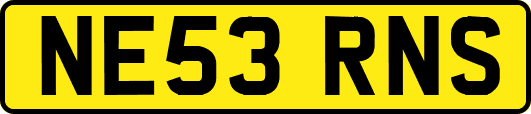 NE53RNS