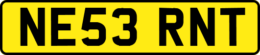 NE53RNT