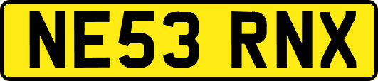 NE53RNX
