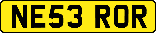 NE53ROR