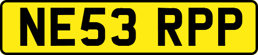 NE53RPP