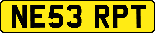 NE53RPT
