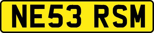 NE53RSM