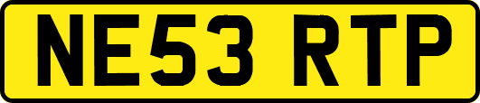 NE53RTP