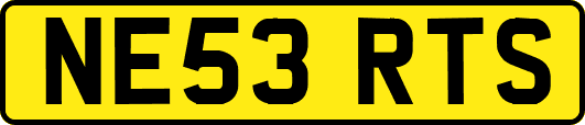 NE53RTS
