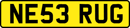 NE53RUG