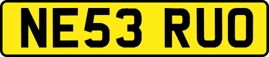 NE53RUO