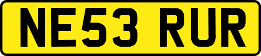 NE53RUR