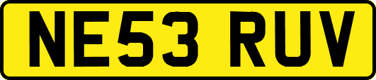 NE53RUV