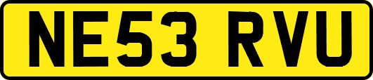 NE53RVU