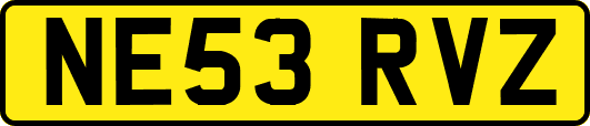 NE53RVZ