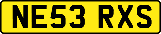 NE53RXS