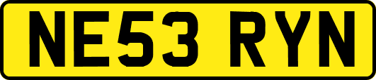NE53RYN