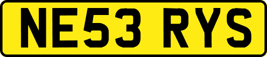 NE53RYS