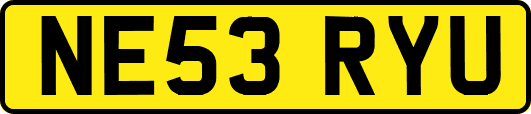 NE53RYU
