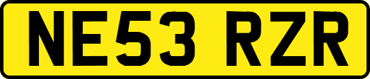 NE53RZR