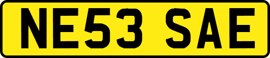 NE53SAE