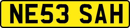 NE53SAH