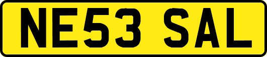 NE53SAL