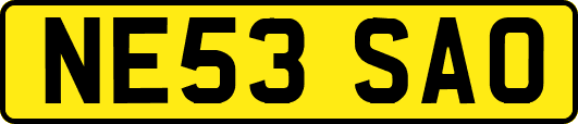 NE53SAO